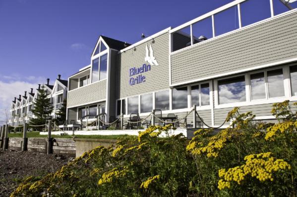 Bluefin Bay On Lake Superior Tofte Buitenkant foto